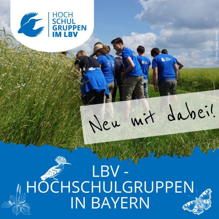 neuer bayernweiter Instagram Kanal