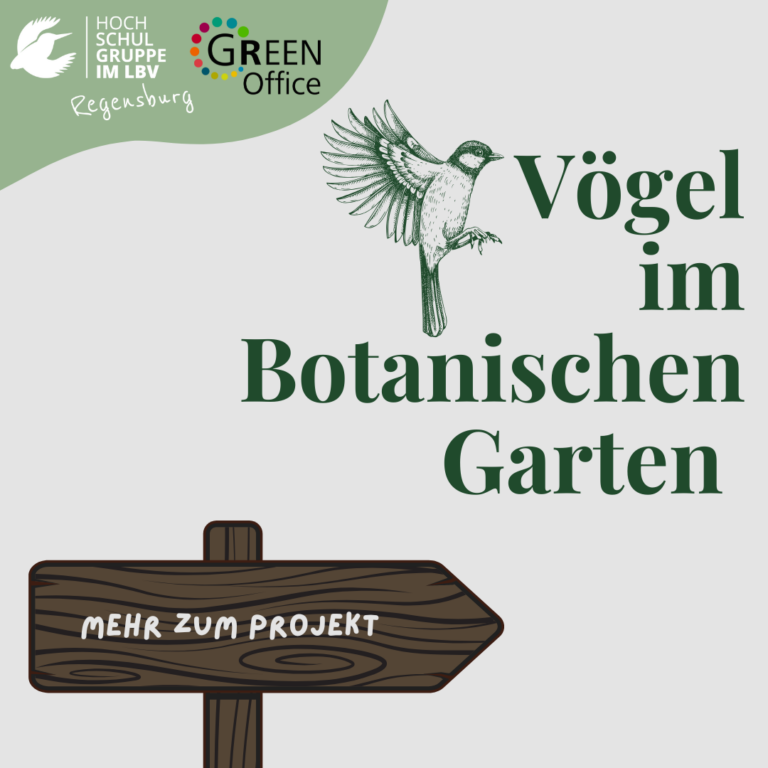Vögel im Botanischen Garten Regensburg
