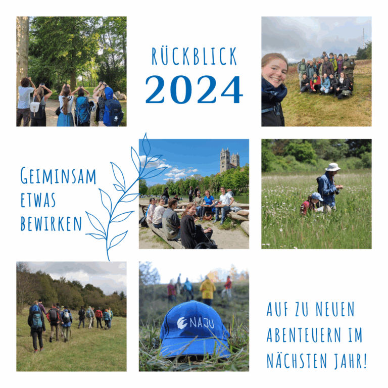 Was für ein Jahr! Unser Rückblick auf 2024